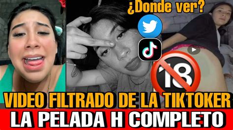 tiktokers porn|Vídeos pornôs com Famosas Tiktok 